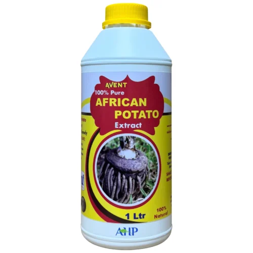 Avent African Potato Extract, Ultimate Immune Booster and Healing Tonic