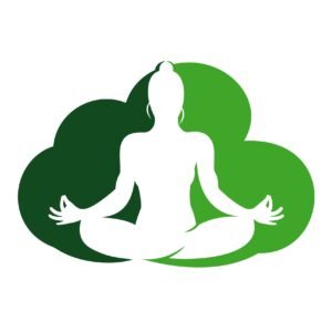 Seraphic Niche Logo