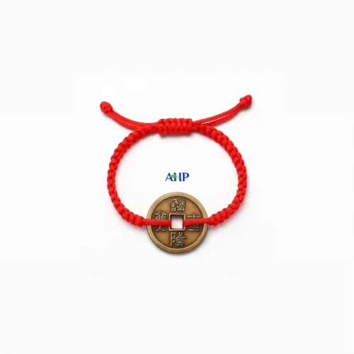 Golden Coin Charm Bracelet, Wealth Attractor and Daily Protection Talisman