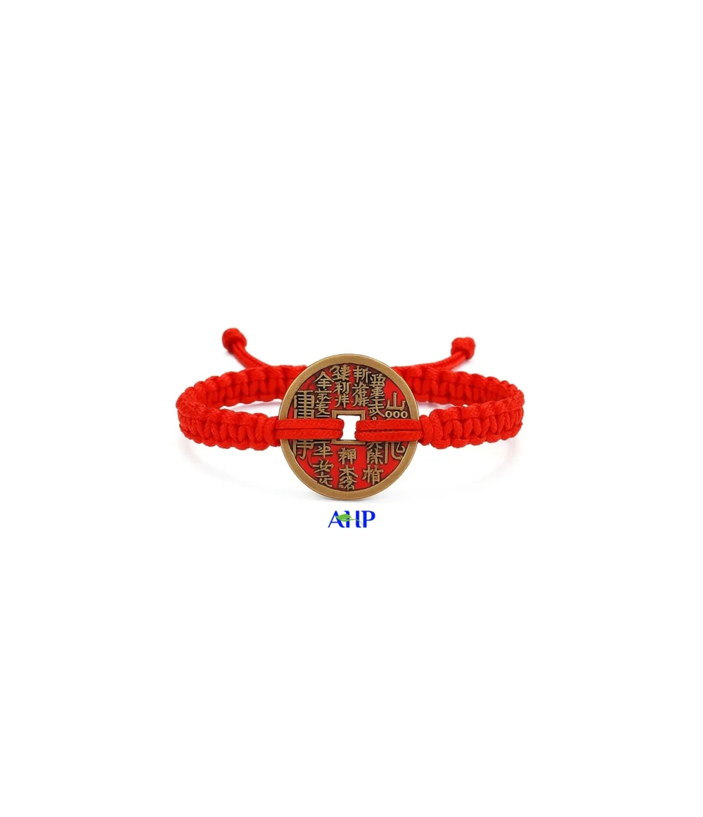 Golden Coin Charm Bracelet, Wealth Attractor and Daily Protection Talisman
