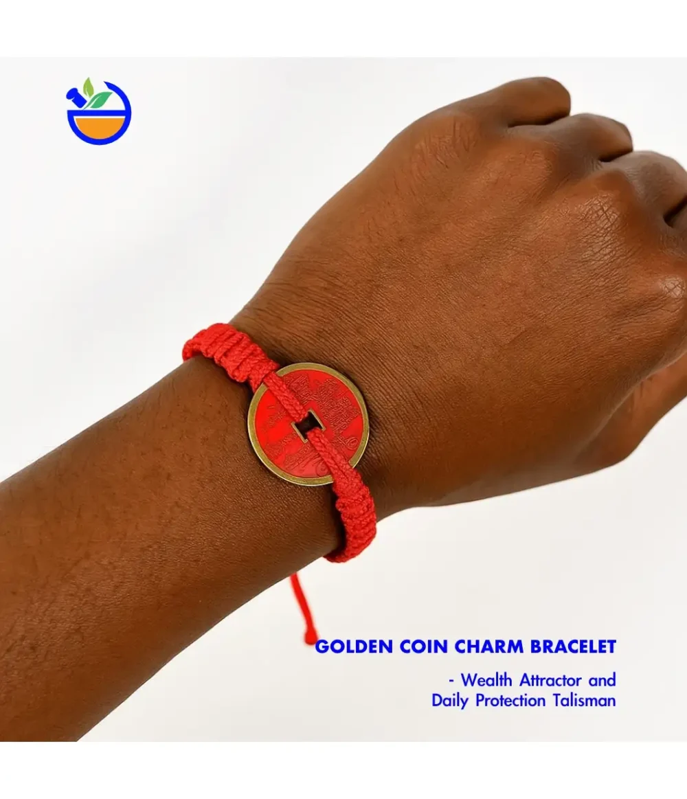 Golden Coin Charm Bracelet, Wealth Attractor and Daily Protection Talisman