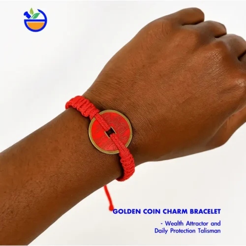 Golden Coin Charm Bracelet, Wealth Attractor and Daily Protection Talisman