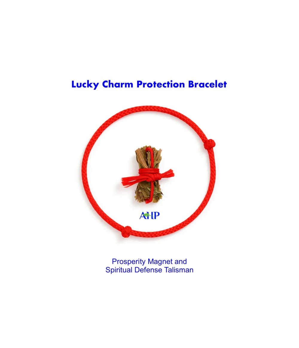 Lucky Charm Protection Bracelet, Prosperity Magnet and Spiritual Defense Talisman