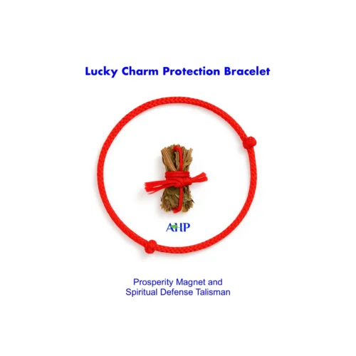 Lucky Charm Protection Bracelet, Prosperity Magnet and Spiritual Defense Talisman