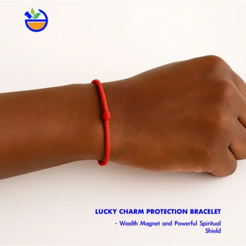 Lucky Charm Protection Bracelet, Wealth Magnet and Powerful Spiritual Shield
