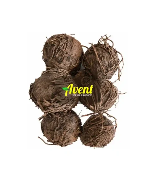 African Potato Traditional Muthi - AHP