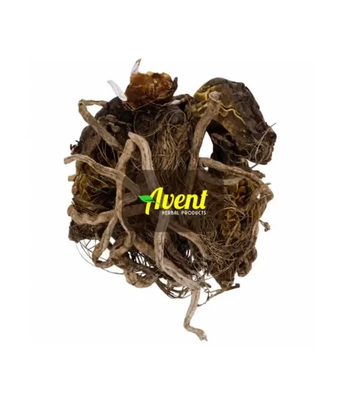 Amabele Ejongosi Traditional Muthi - Avent Herbal Products