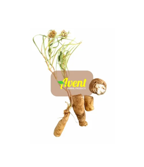 Udelunina Traditional Muthi - Avent Herbal Products