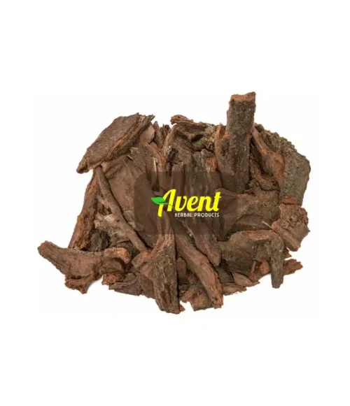 Inyazangoma Elibomvu Traditional Muthi - Avent Herbal Products