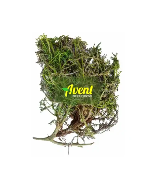 Iphakama Lomkhanyakude Traditional Muthi - Avent Herbal Products