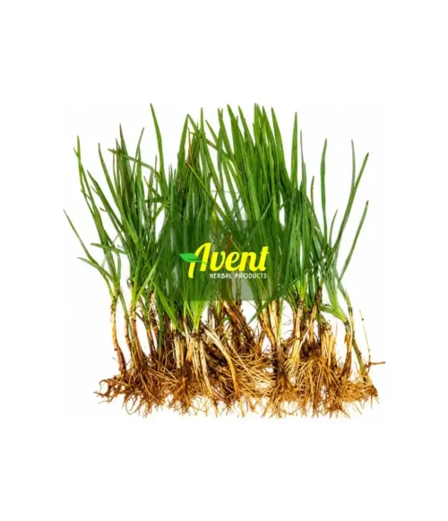 Ishaladi Lezinyoka Traditional Muthi - Avent Herbal Products