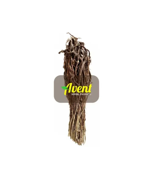 Isheshelingene Traditional Muthi - Avent Herbal Products