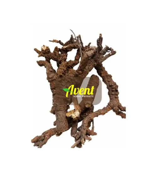 Isdikili Traditional Muthi