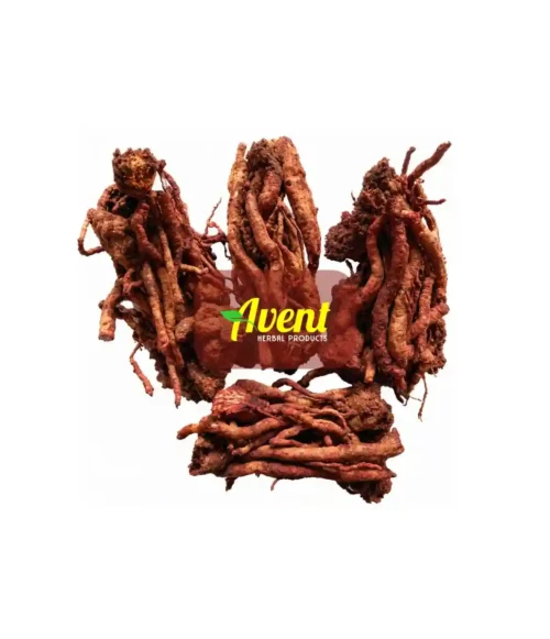 Mayisake Obomvu Muthi - Avent Herbal Products