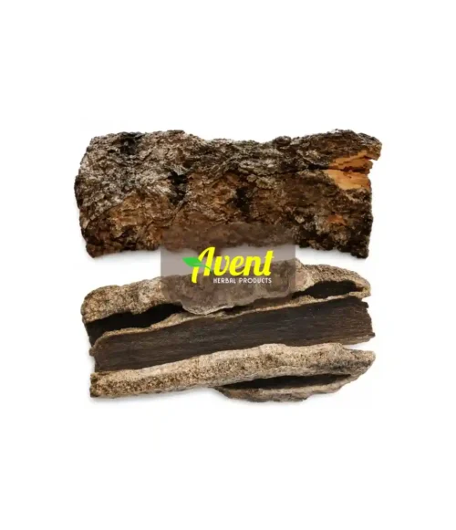 Umdumo Traditional Muthi - Avent Herbal Products