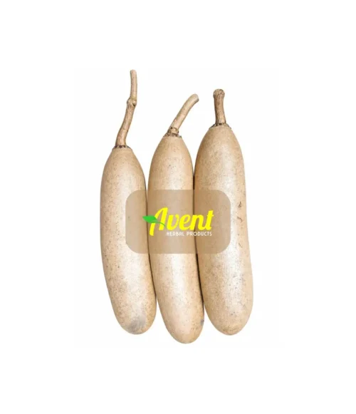 Umvongothi Traditional Muthi - Avent Herbal Products