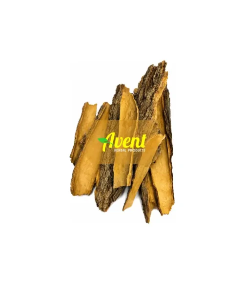 Uroslina (Uloslina)Traditional Muthi